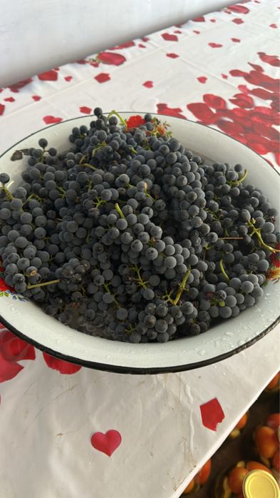 Продам виноград изобелла