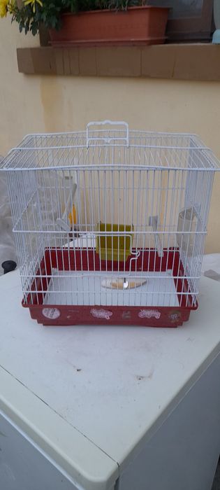 Vând  colivie de  păsări