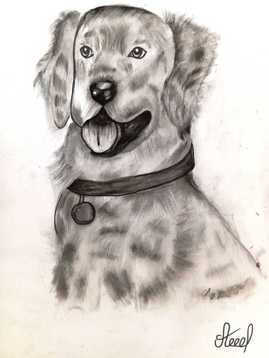 Картини на тринадесетгодишната Алекс