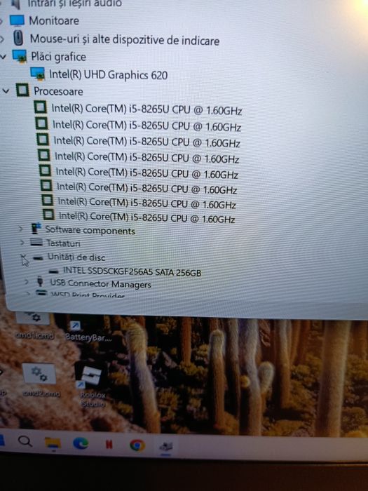 Laptop HP Probook 450 G6, I5-8265U, 12Gb ram, 256Gb Intel NVME