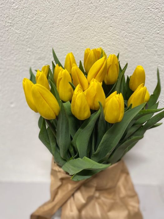 Тюльпаны напрямую с теплицы