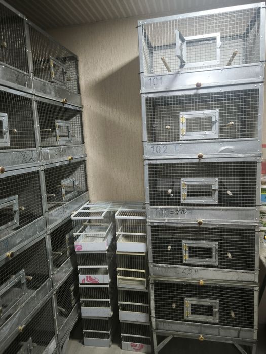 Клетки и вальеры для канареек