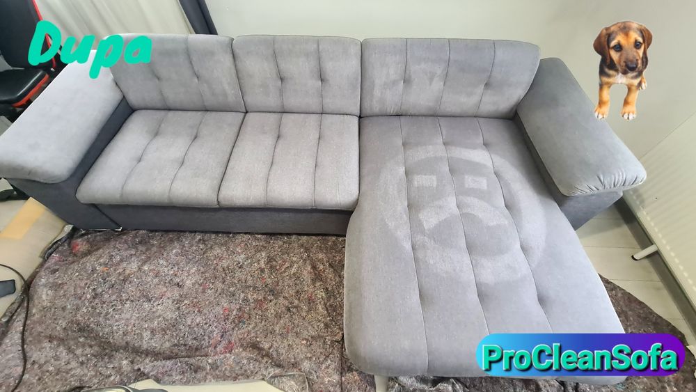 Curatare Profesionala Canapele & Saltele