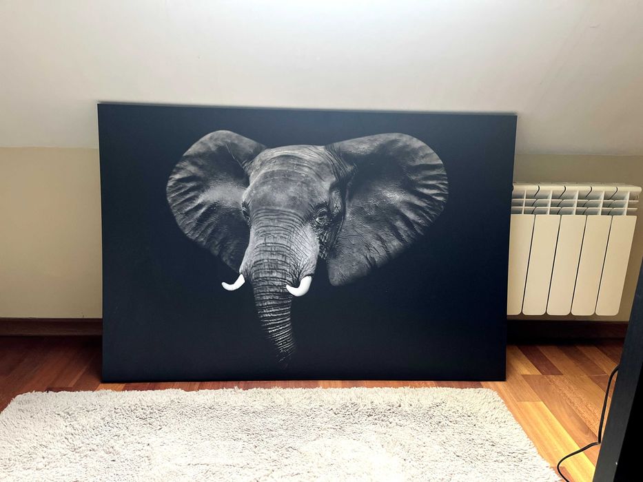 Картина Слон Икеа