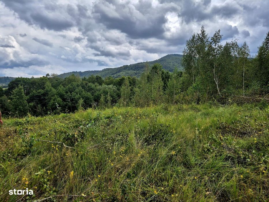 Natura/ Cabana de weekend/liniste, relaxare la Sinca Noua Brasov