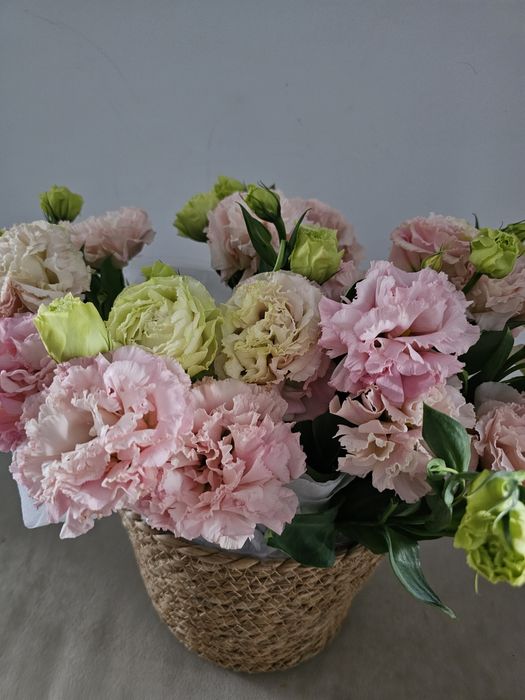 Продам цветы. Свежий