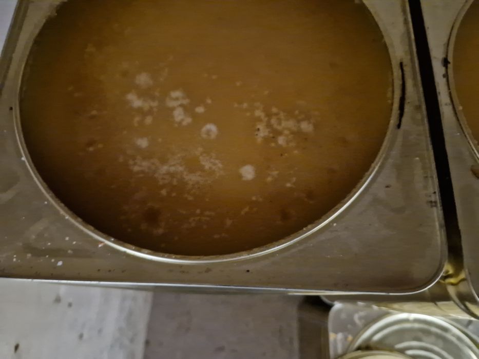 Пчелен билков мед 2025г за Велико Търново