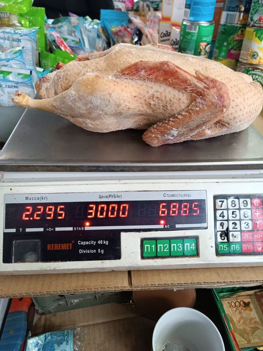 Домашнии утки