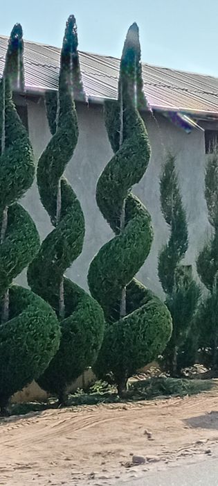 Archa kesish dorishlash