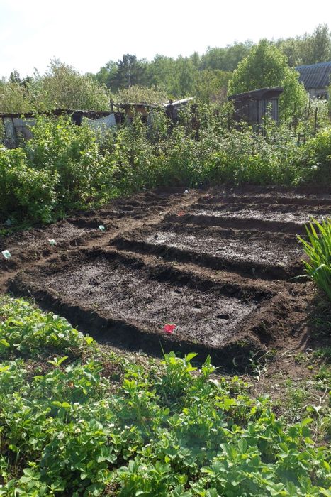 Продам дачу (Общество "Энергетик-2]