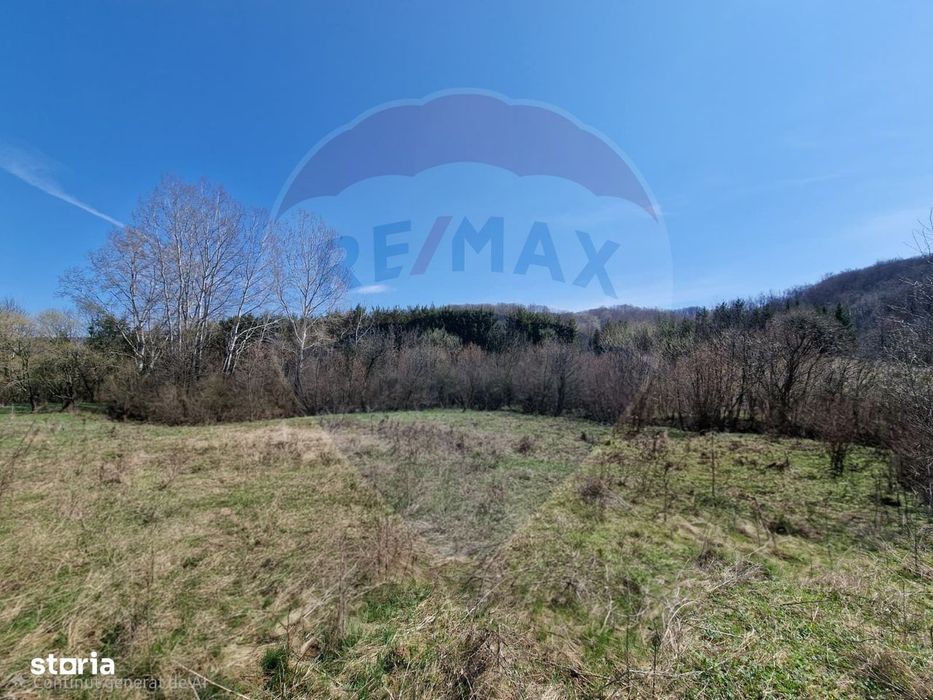 Teren 9,428mp Podiș / Calea Moinesti