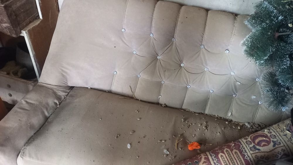 Диван и кресло сатылады