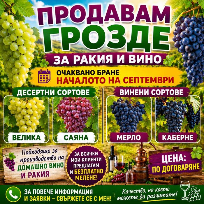 Грозде за ракия и вино