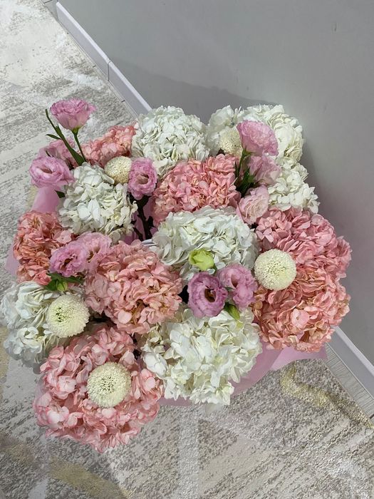 Гортензия   цветы