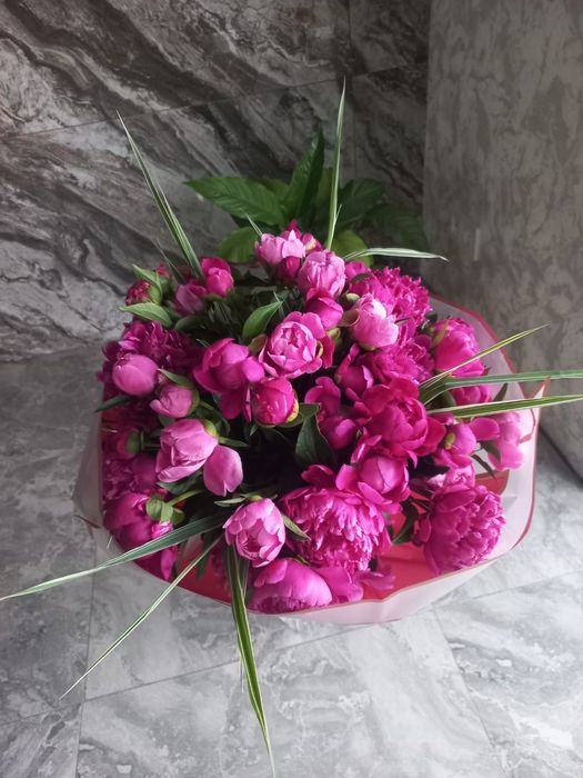 Свежие пионы , букетами