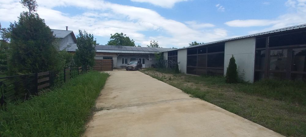 Constructii si teren de vanzare - Boldesti Scaeni