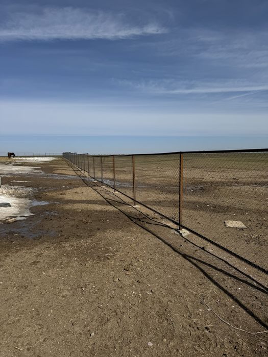 Фазенда ірі қара жылқы малымен