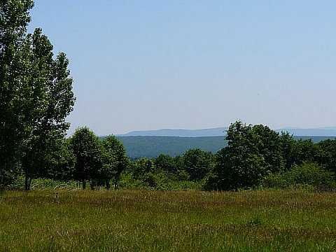 Продава се Парцел в с. Сапарево, Област Кюстендил - 3000 кв.м за 5 €/кв.м - Снимка #3