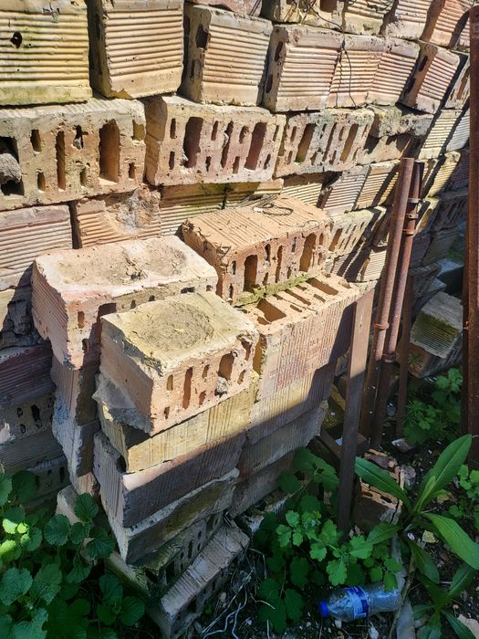 Тухли двойка най здравите