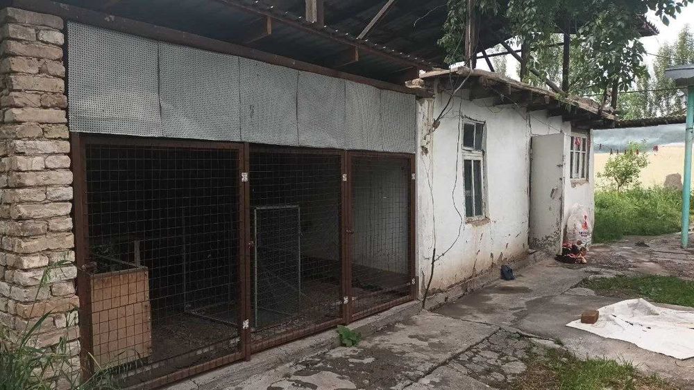 Продается дом Бостонлыкский район