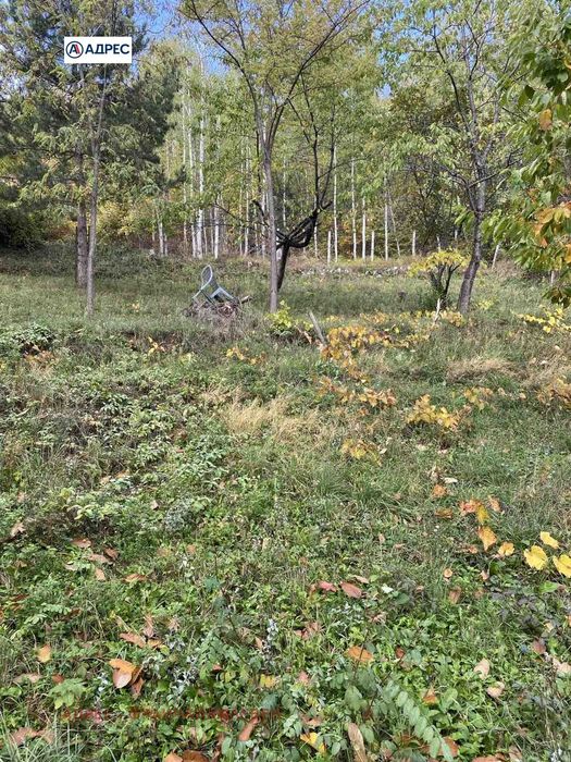 Парцел в Враца, област-с.Паволче площ 795 цена 18918