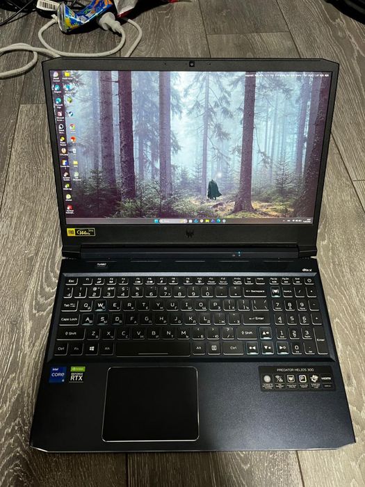 Acer Predator Holios300