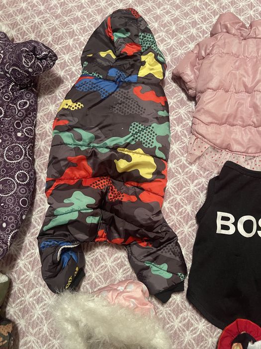 Одежда для собак мелких пород