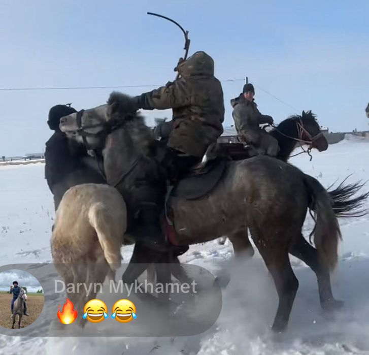 Лошади кокпарские