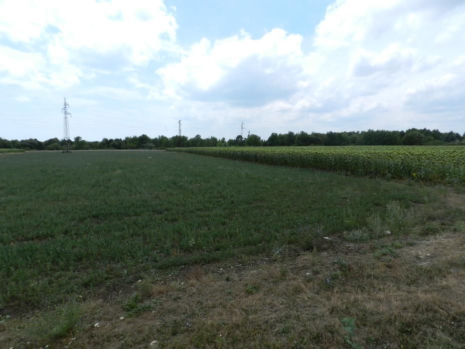 Продава се Земеделски имот в Балчик -  кв.м за 10000 €/дка - Снимка #7