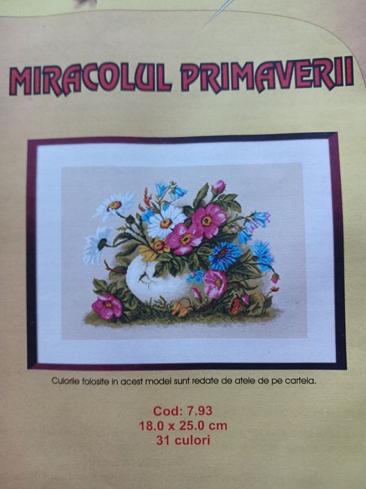 Diagrame cu ațe pentru goblen de Focșani