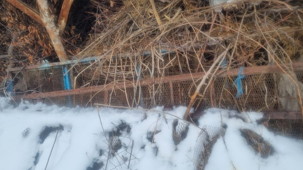 Traktor presep setkasi sotiladi 4 tarafi