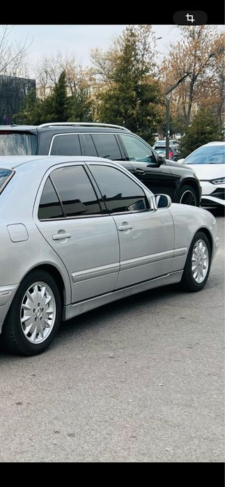 W 210 diska balon elegance