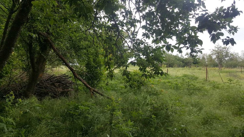 Продавам къща в село червенци