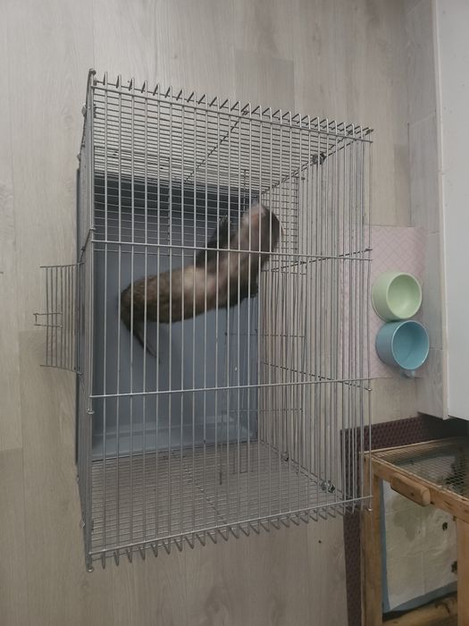 Клетка для животных