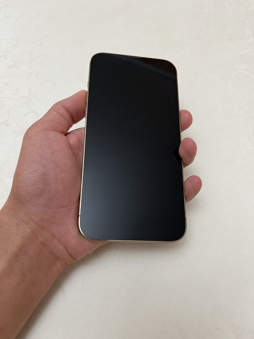 lphone 13pro max