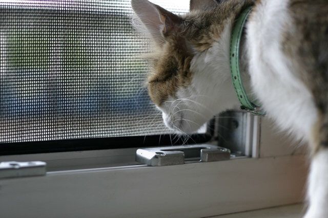 Москитные сетки в Ташкенте Качественно+ремонт.