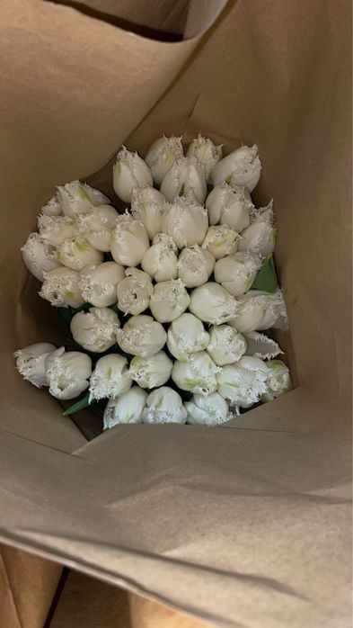 Тюльпаны см по самым низким ценам