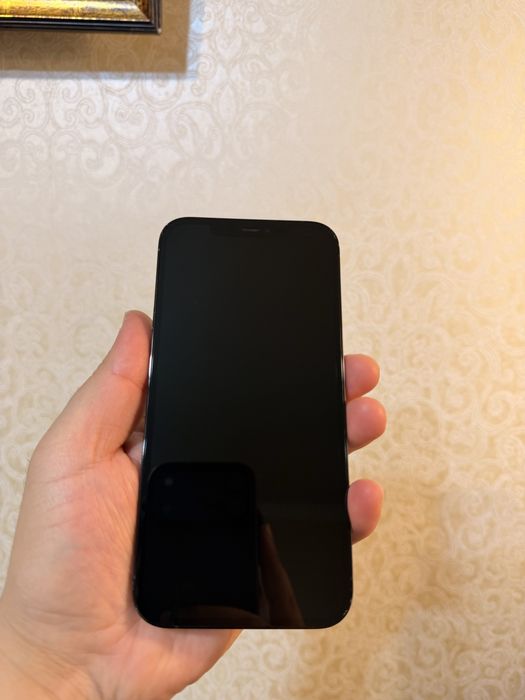 Iohone 12 ProMax 256Gb