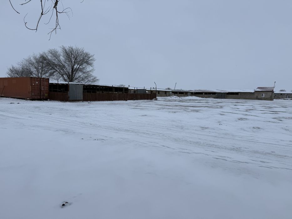 Продам ферму (фазенду)