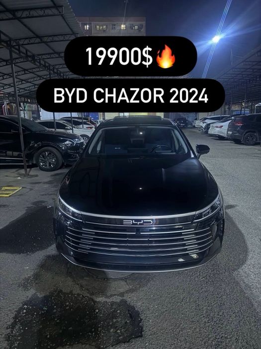 Byd chazor gibrit 2024 Full