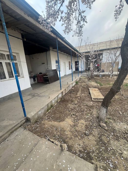 Ховли сотилади 5 хонали 3.3 сутук