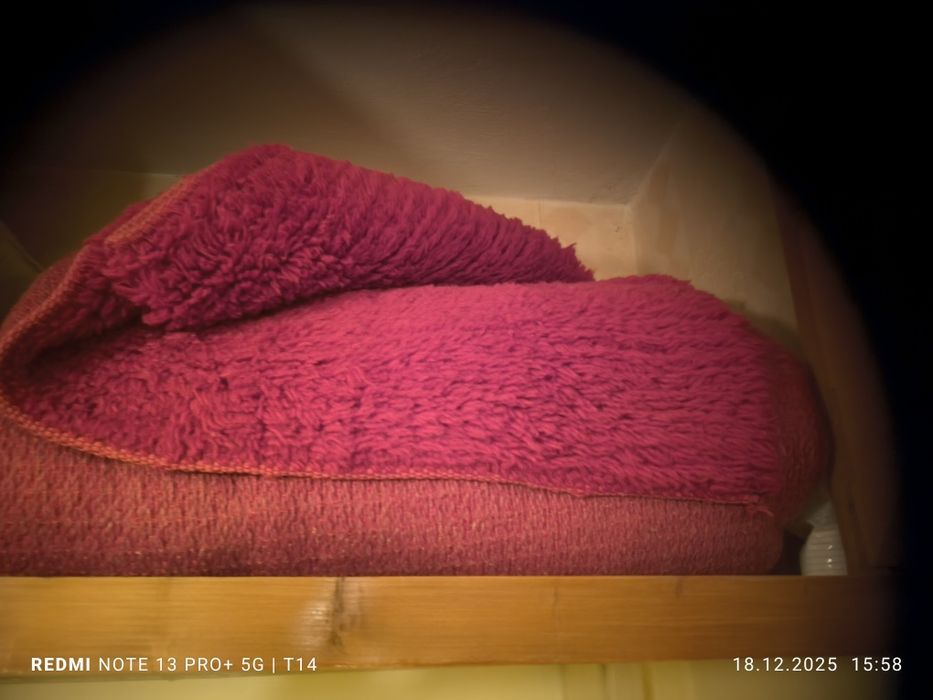 Червен Губер -Къс Кит