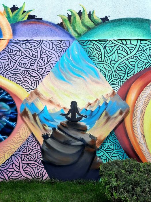 Graffiti interior/ exterior, pictura pereti