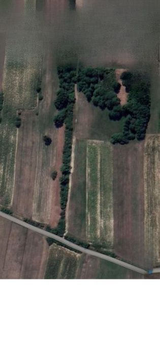 Teren de vanzare in Dumbravita, 90 de ari