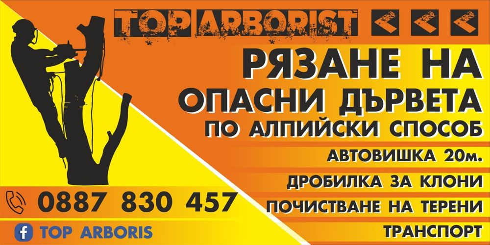 Рязане на  опасни дървета с вишка или по алпийски способ