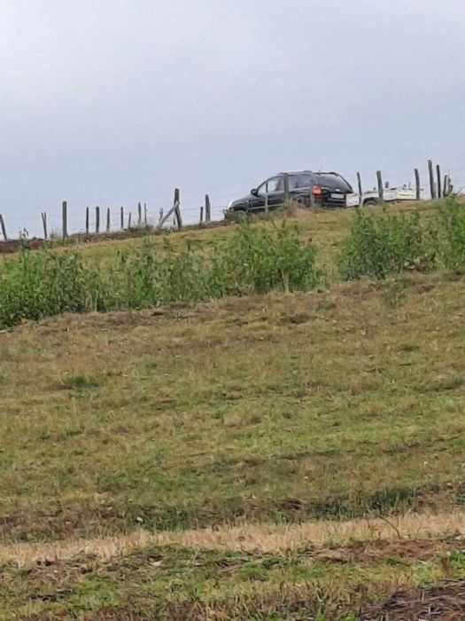 Teren în Arieșeni jud Alba