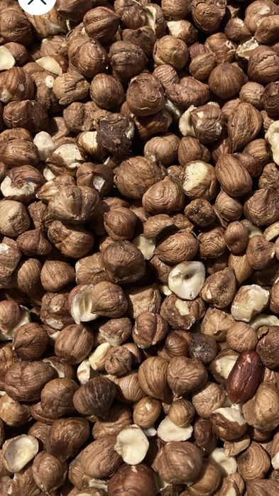 Simburi de alune de padure