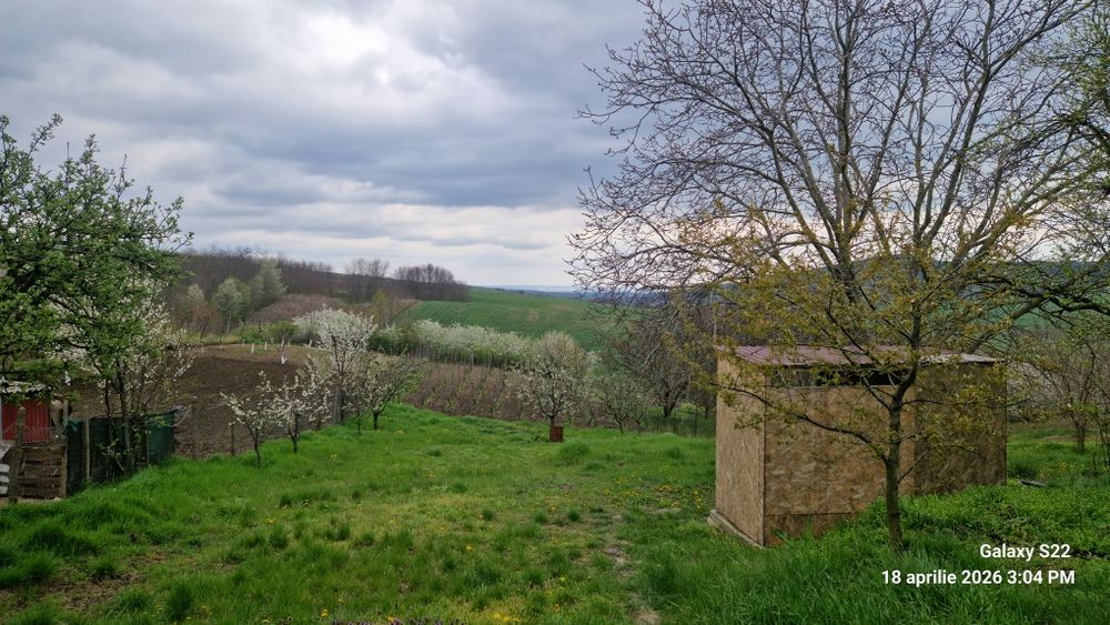 Teren Bohotin,  Raducaneni