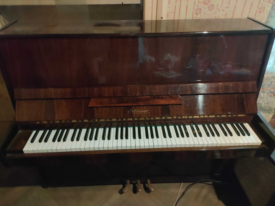 Pianina nocturno