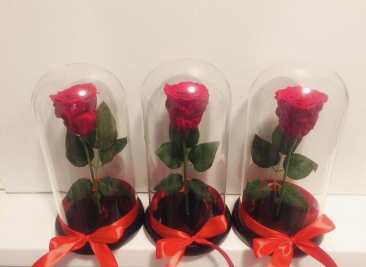 Trandafir criogenat conservat rosu 17 20 25 cm